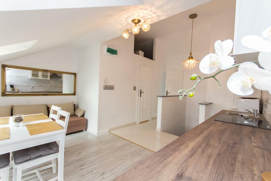 Sloneczne Apartamenty سفينويتشي المظهر الخارجي الصورة